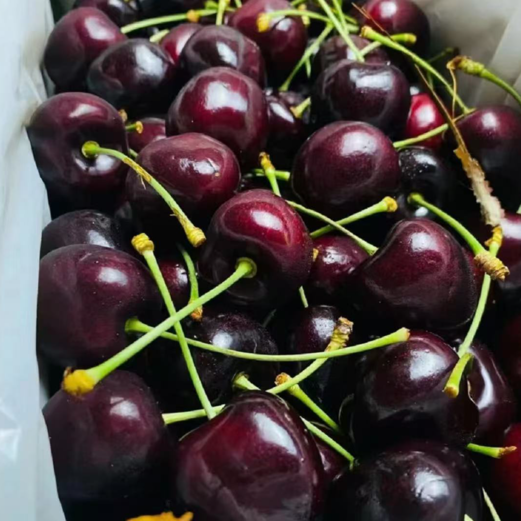 W智利海运科迪亚车厘子2-4J 5斤装 顺丰京东 内附果径卡