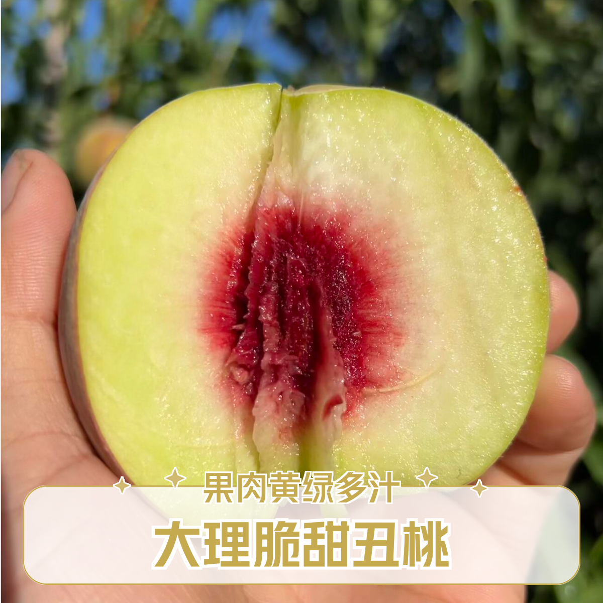 大理脆蜜【丑桃】 生态种植 甜脆清香 外丑内甜 离核红心 中通包邮