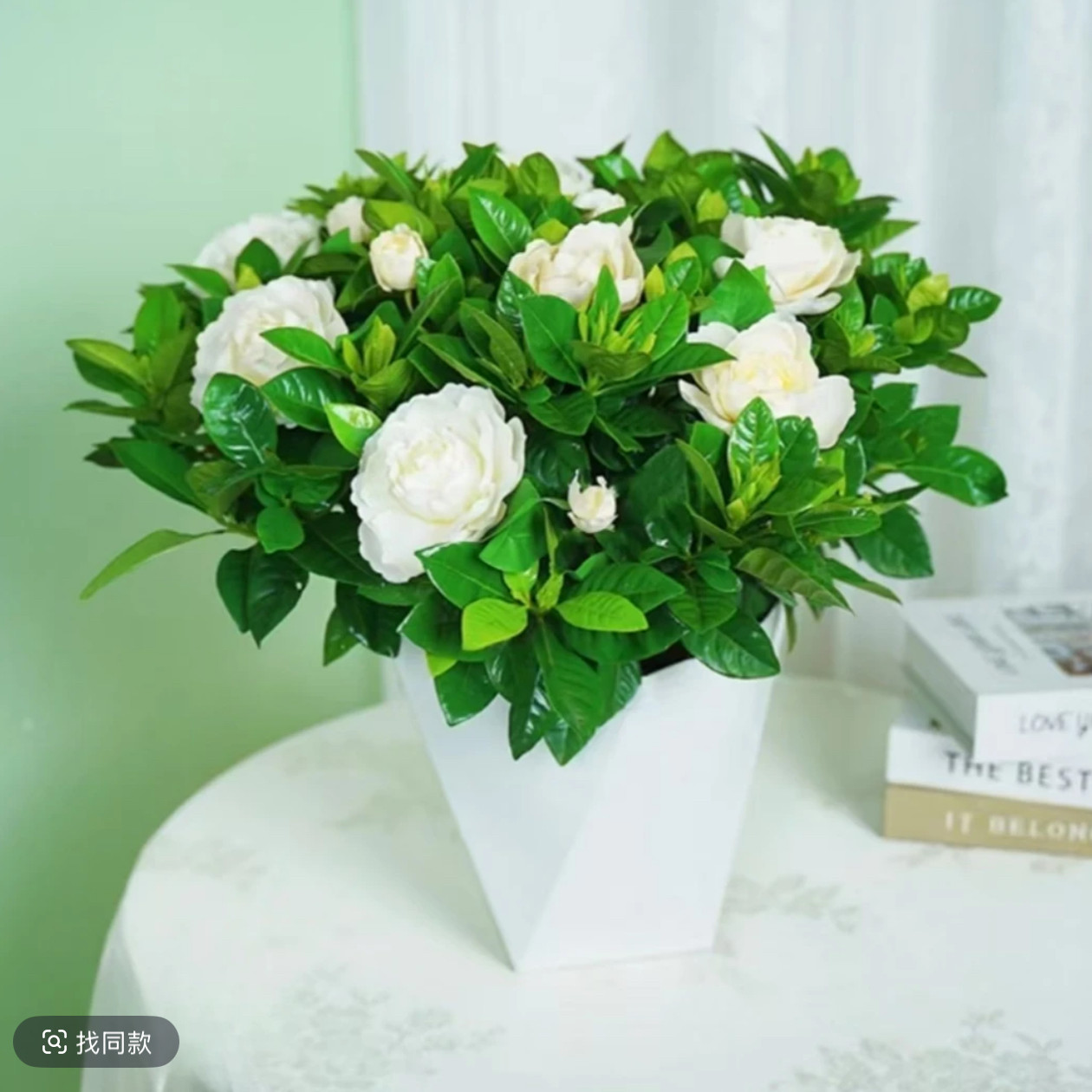 大叶重瓣栀子花带花苞盆栽花卉绿植植物室内四季开花水培浓香