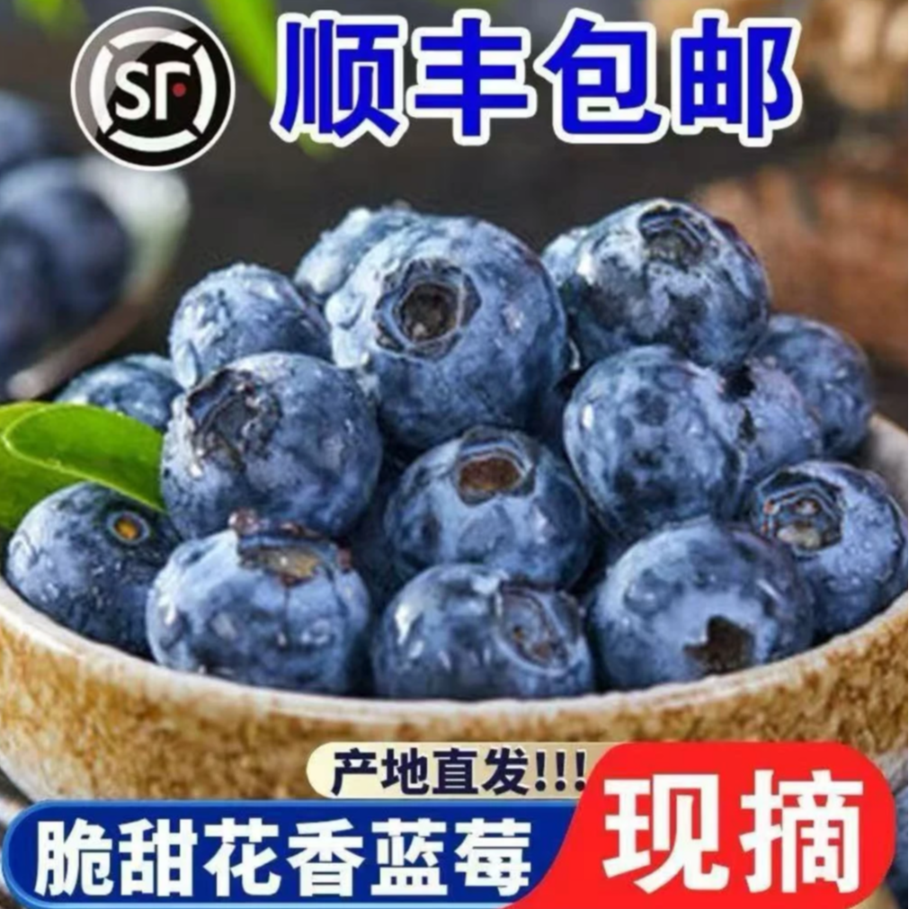顺丰包邮买2斤送1斤新鲜脆甜蓝莓现摘现发当季水果产地直发