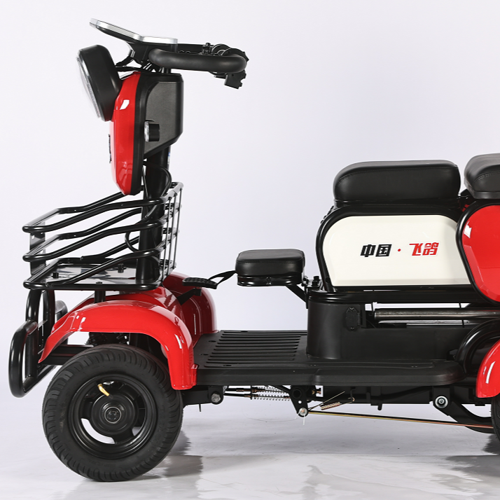 FLYING PIGEON/飞鸽[带棚款]高端电动休闲车