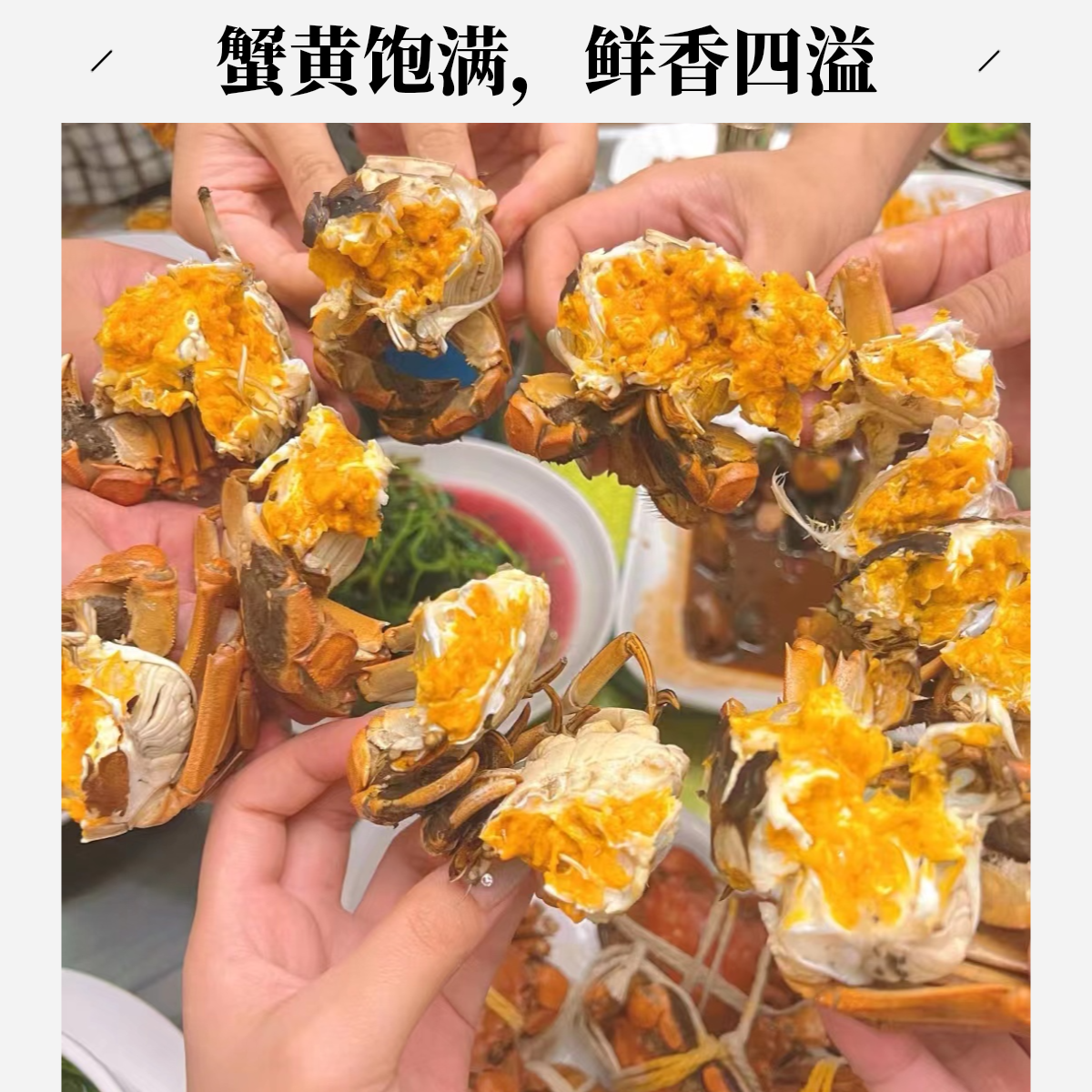 【仅售川渝】地方特色螃蟹买10只送2只 只只带黄顺丰包邮