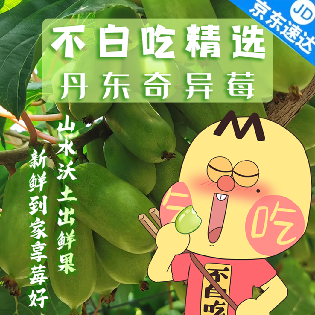 【我是不白吃】新鲜丹东软枣猕猴桃奇异莓当季水果口感细腻 JD