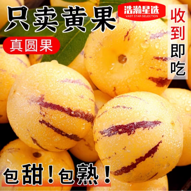 H14云南石林人参果带箱5斤装单果50g+到手25-45枚清甜多汁美味