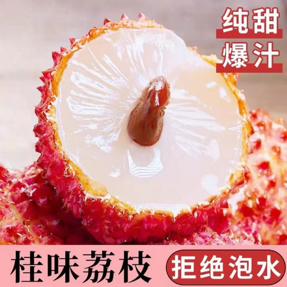 【陈氏阳光】广东桂味荔枝 头茬鲜果现摘新鲜不泡水 3斤/5斤装