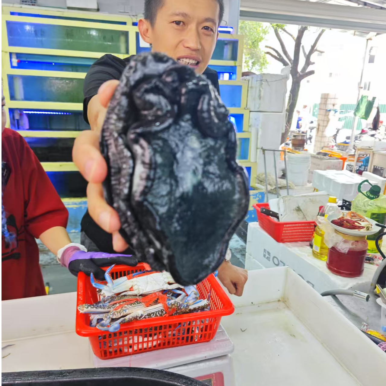 【上街弟海鲜】黑金鲍/黑金鲍鱼/做法简单/新鲜/肉质紧实