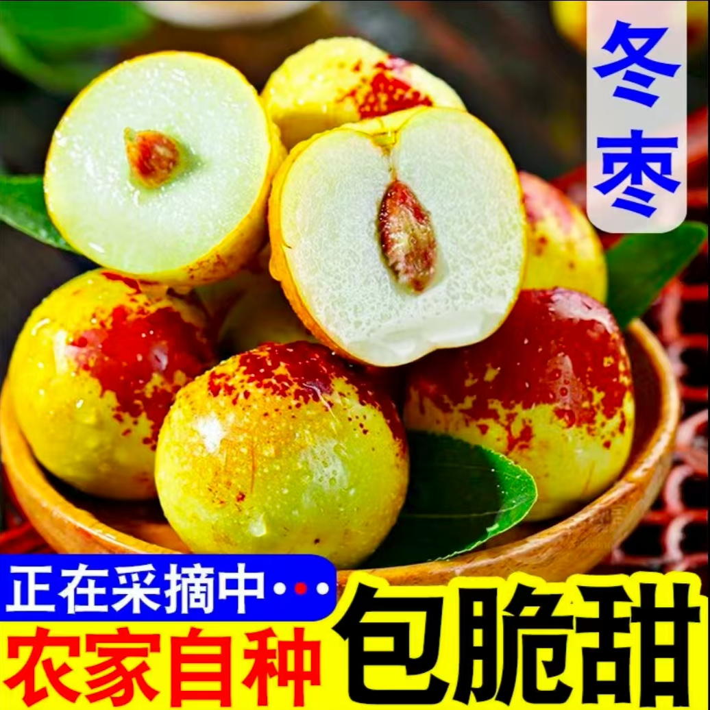 云南【大理冬枣】云南宾川高山现摘新鲜冬枣当季水果清甜可口