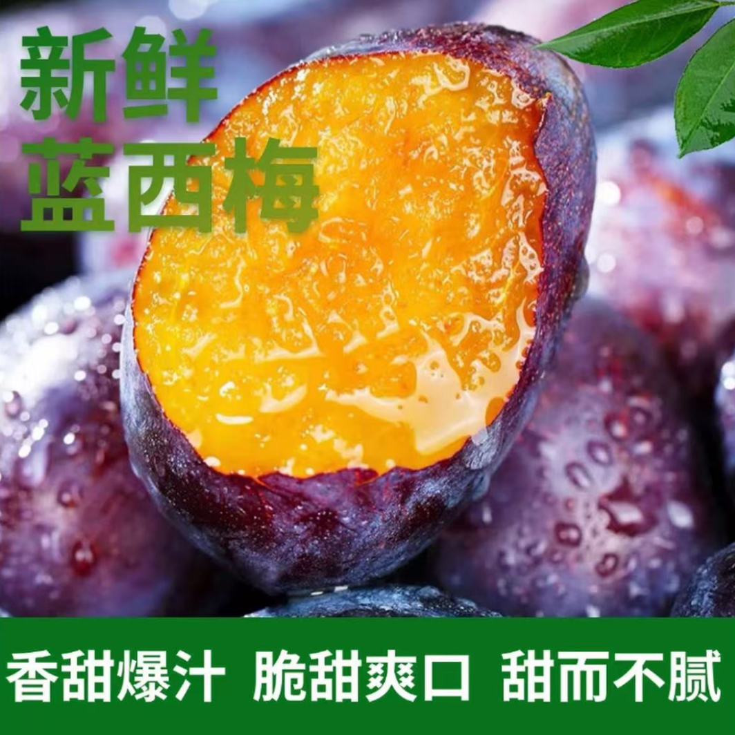 w【放软食用】头茬西梅水果 新鲜现摘西梅酸甜可口多汁当季大小混装