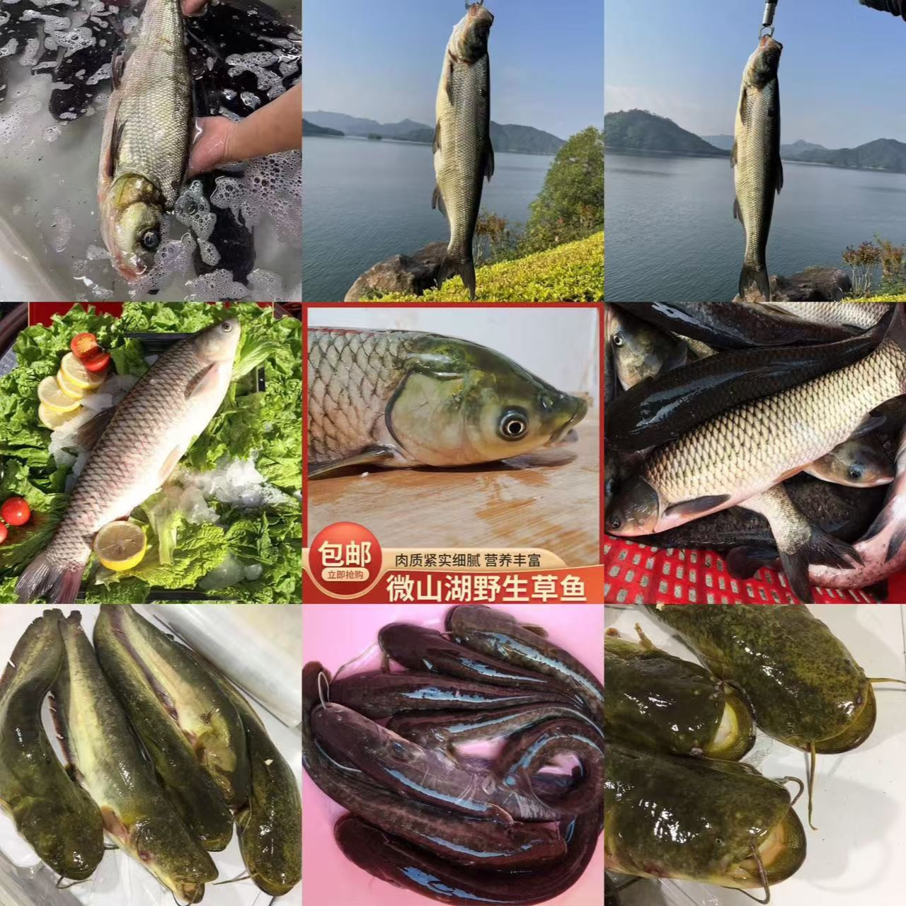 （青青）鄱阳农家干货生鲜散称
