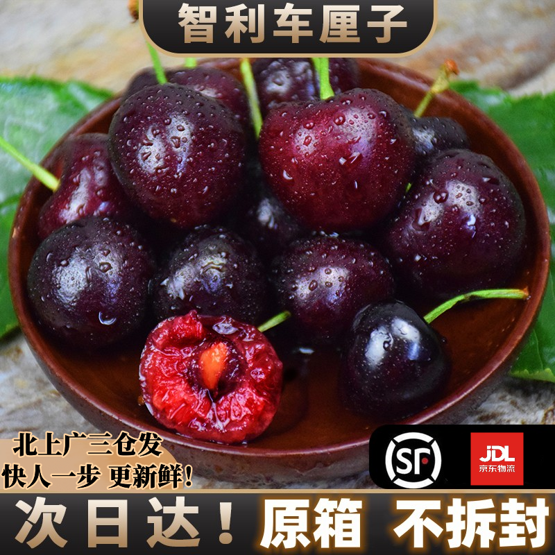 【5斤原箱现货现发】智利车厘子顺丰京东进口海运J-4J 内附果径卡