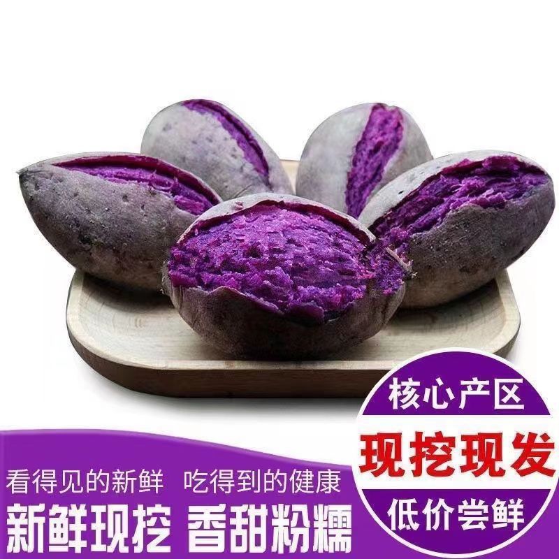 现挖新鲜沙地紫薯番薯粉糯香甜板栗红薯地瓜蜜薯批发1/3/5/10斤整