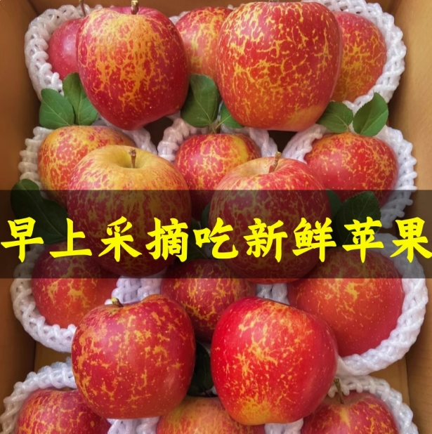 新鲜好吃又甜又脆的苹果