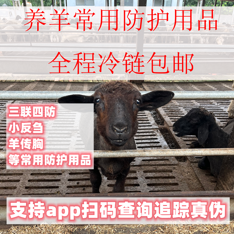 养羊常用的常备用品--三联、小反、传胸等营养用品