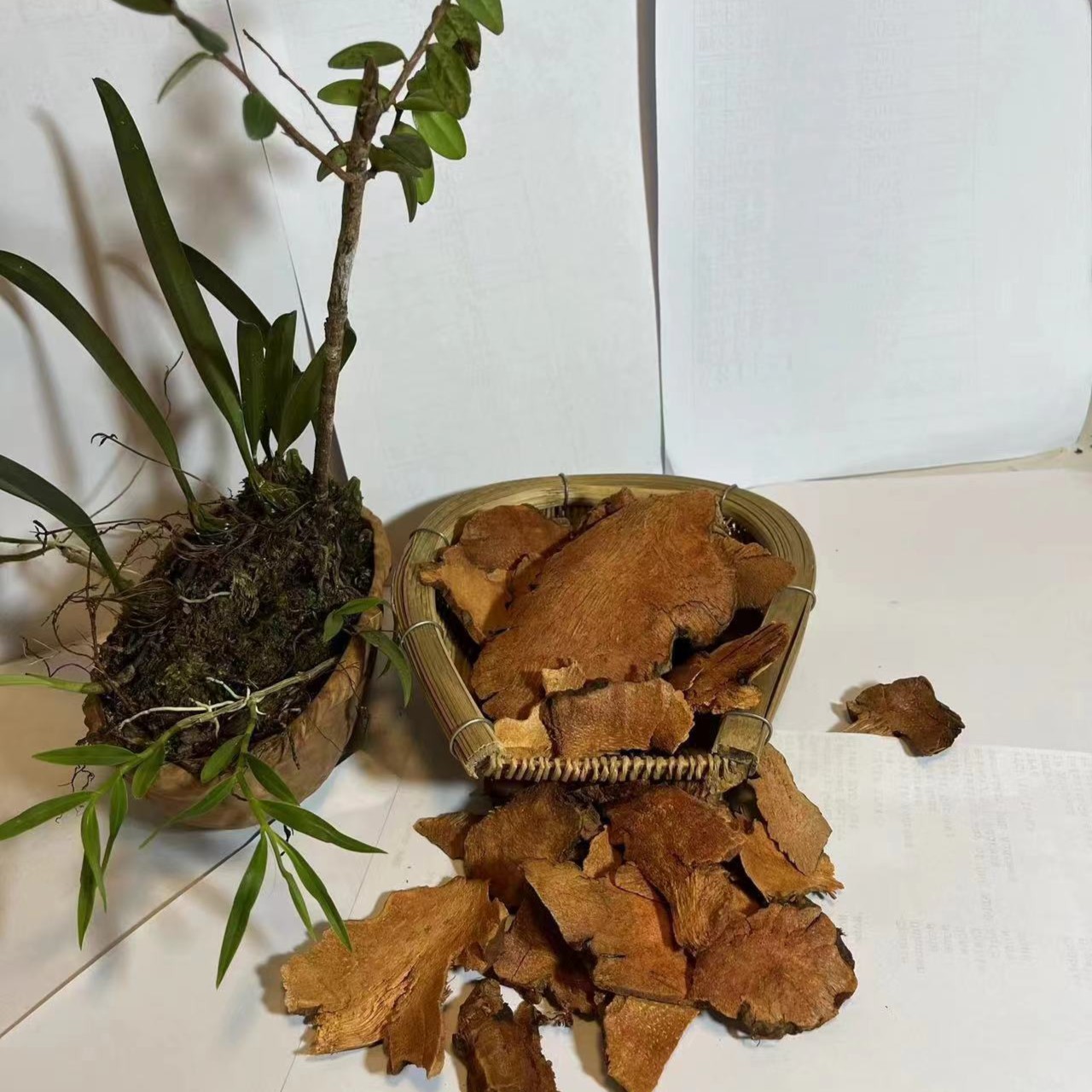 【云南特产】云南高山土茯苓干货特产