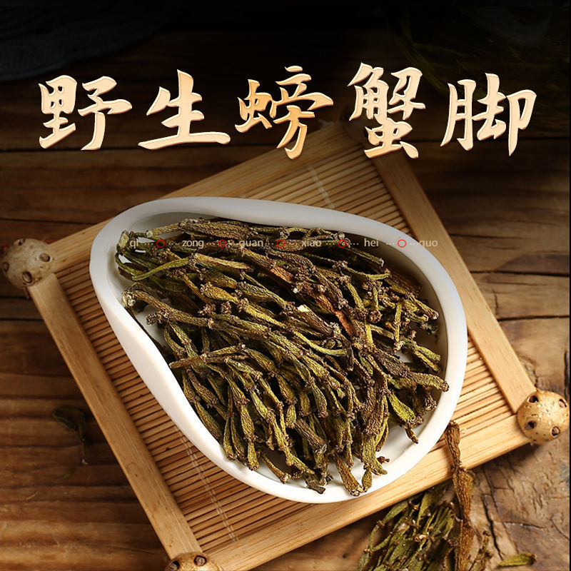 螃蟹脚茶野生普洱茶树寄生茶螃蟹脚