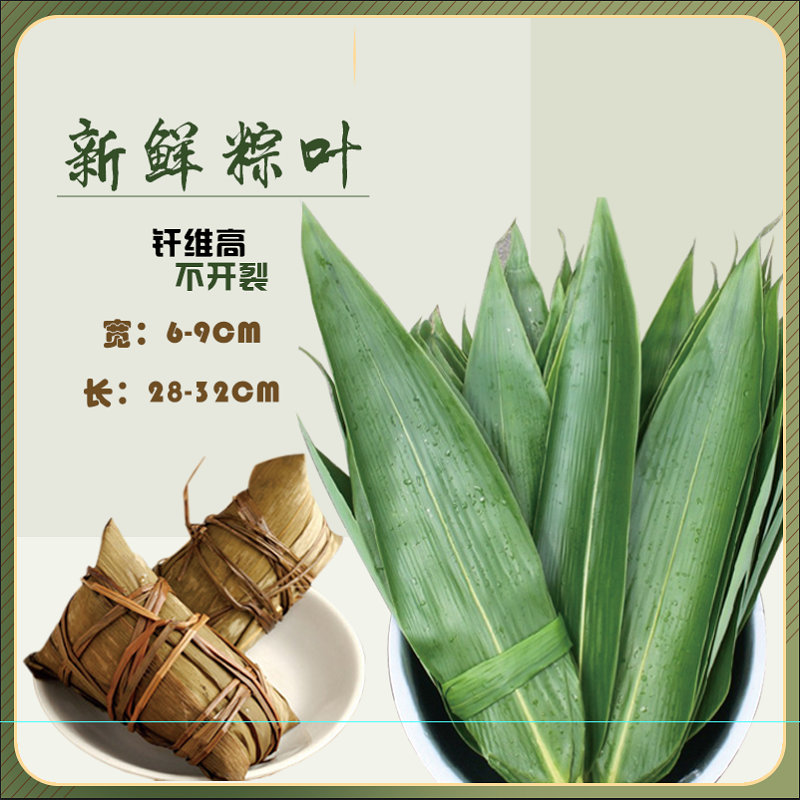 粽叶新鲜大叶真空包装50片/袋包粽子送夏日尝鲜棉线