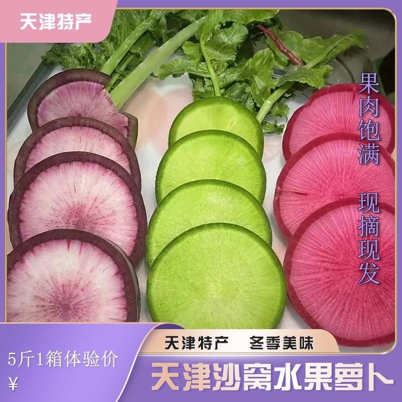 天津沙窝萝卜冰淇淋萝卜山地天津特产冰糖心水果甜脆型4500克