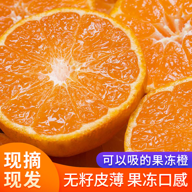正宗四川眉山爱媛38号果冻橙应季新孕妇儿童鲜水果现货2/8斤包邮