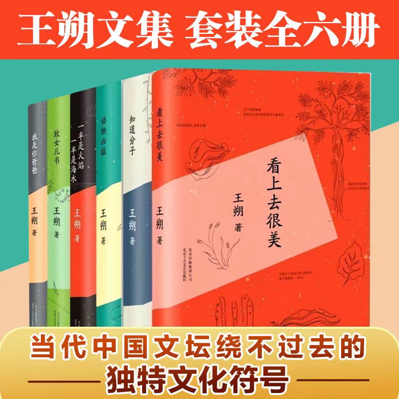 王朔文集全7册 起初纪念-看上去很美-侄女儿书-知道分子-动物凶猛