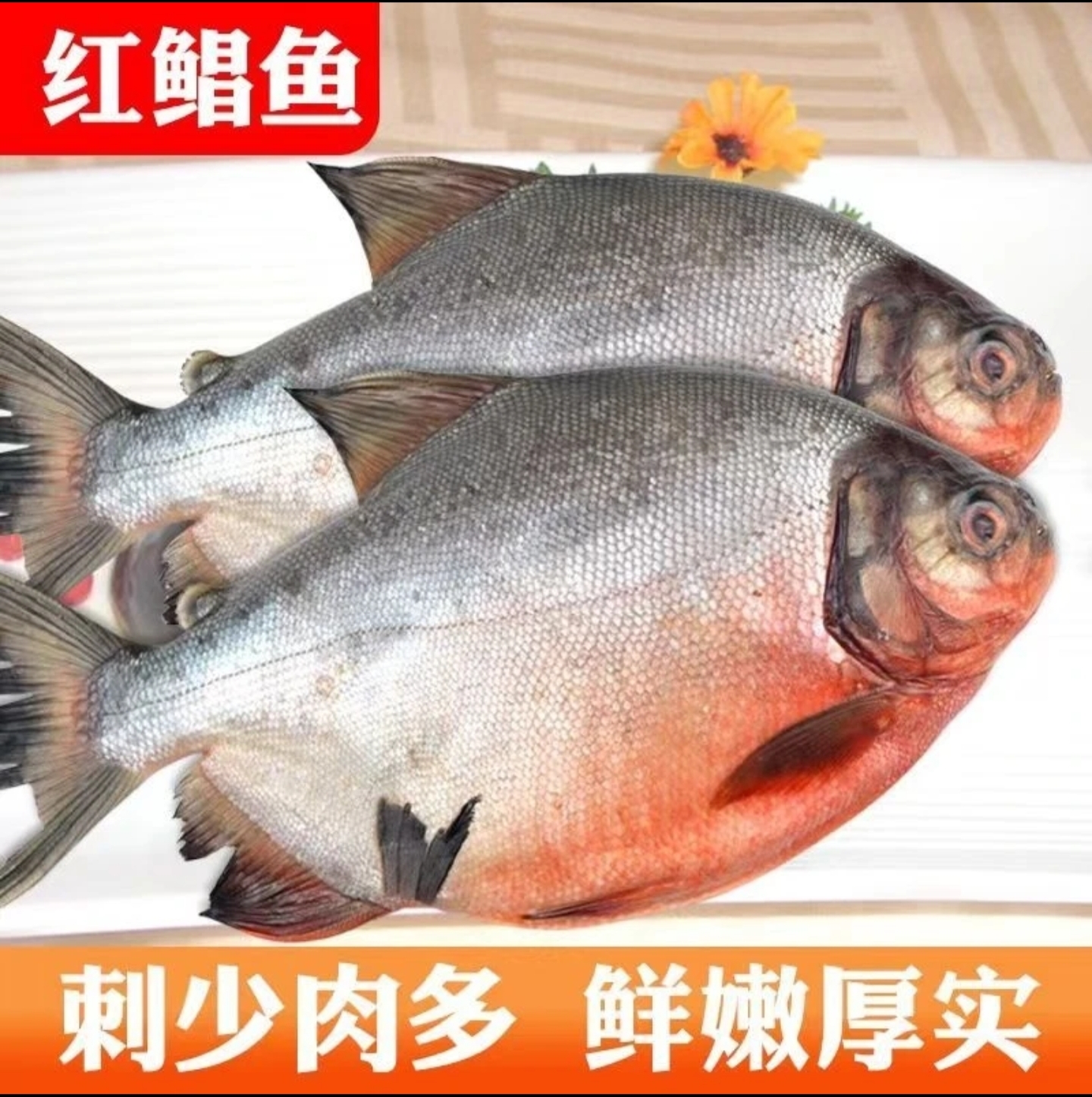 【新疆包邮】新鲜开背鲈鱼*2深海黄花鱼*2深海红鲳鱼*1鲜嫩冷冻锁鲜