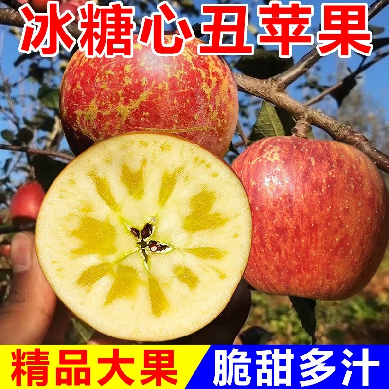 2024正宗四川大凉山盐源冰糖心丑苹果新鲜水果w