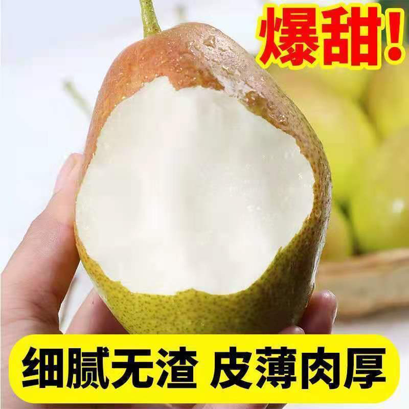 （鲜果优选）新疆库尔勒香梨8.5斤以上带箱毛重脆水分充足