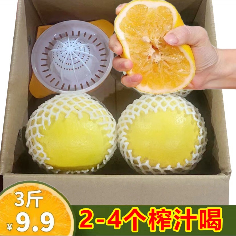 【带箱3斤】黄金葡萄柚（2-4个中果）送榨汁塑料杯子