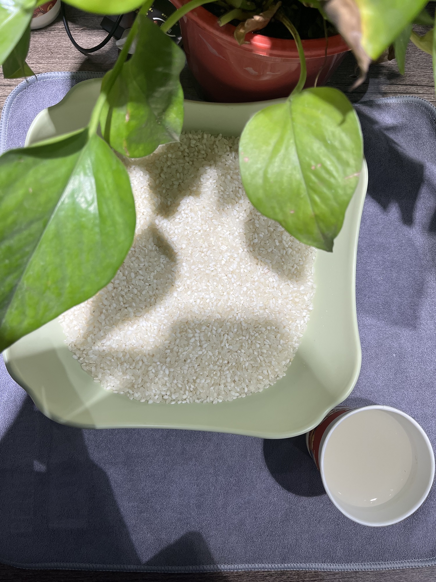 到手一包700【T区护理鼻贴厂家福利】