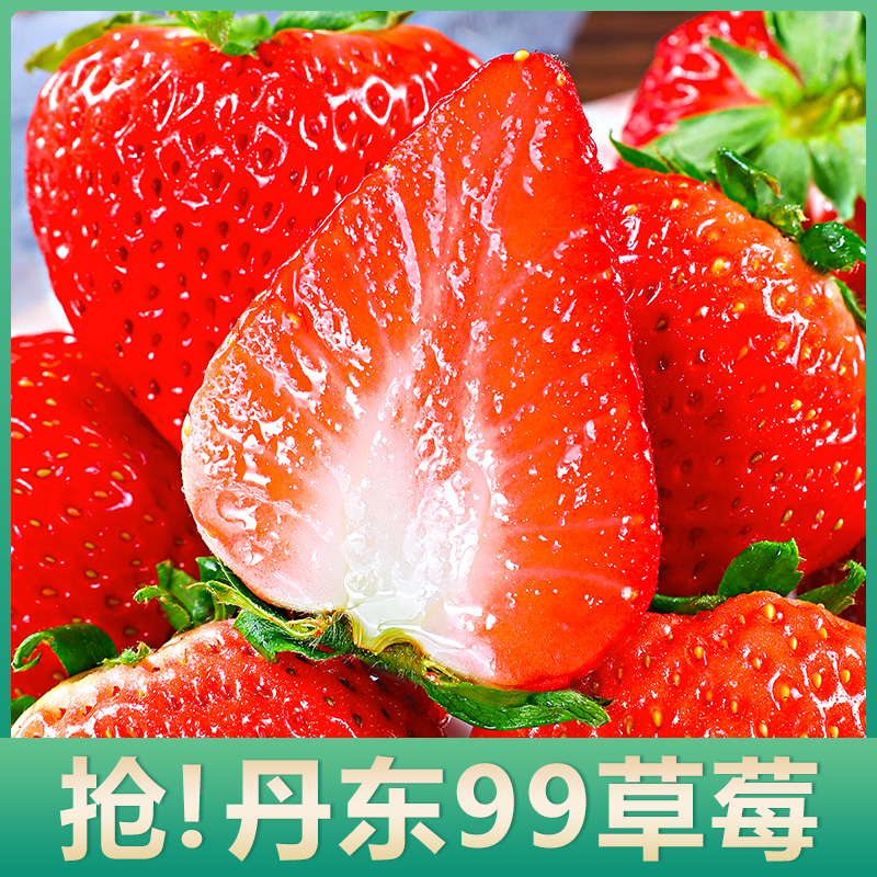 【顺丰空运】丹东99牛奶草莓0.9-4.5斤装新鲜九九红颜奶油草莓水果
