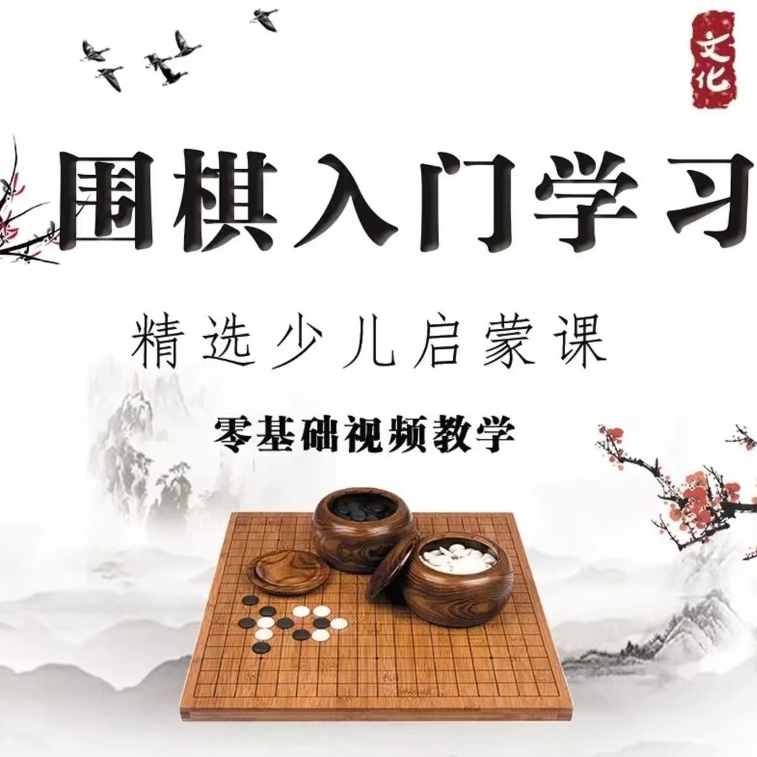 正版少儿围棋围棋入门自学速成宝典视频课程动画围棋新手视频课程