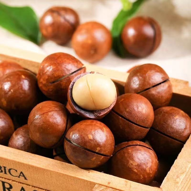 [两包]新货夏威夷果奶香味中果250g一袋装酥脆坚果送开口器颗粒