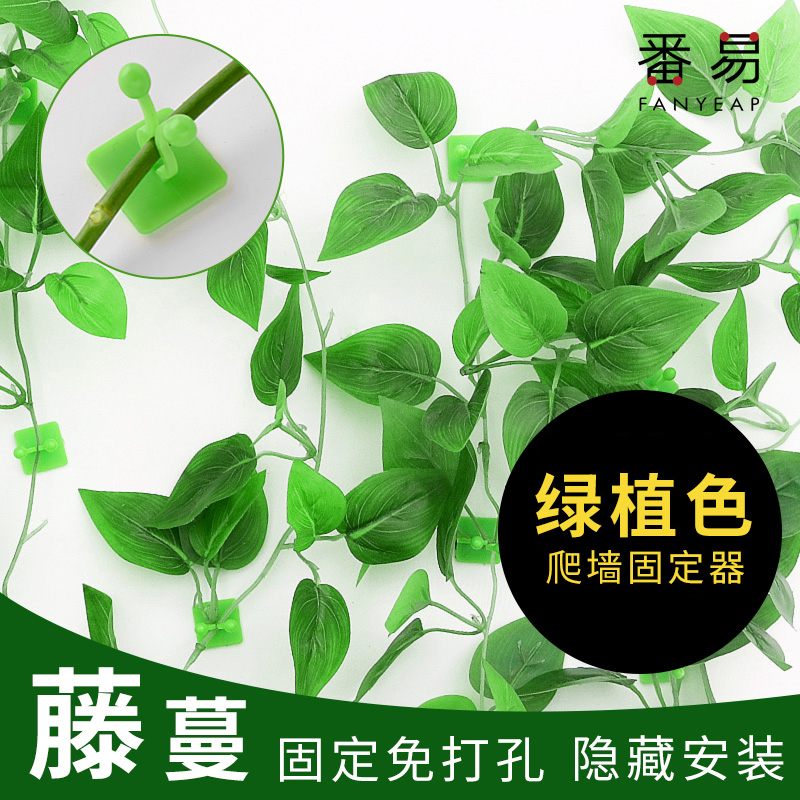绿萝固定器家养绿植家用攀爬藤蔓爬墙卡扣挂钩夹子自粘式室内客厅