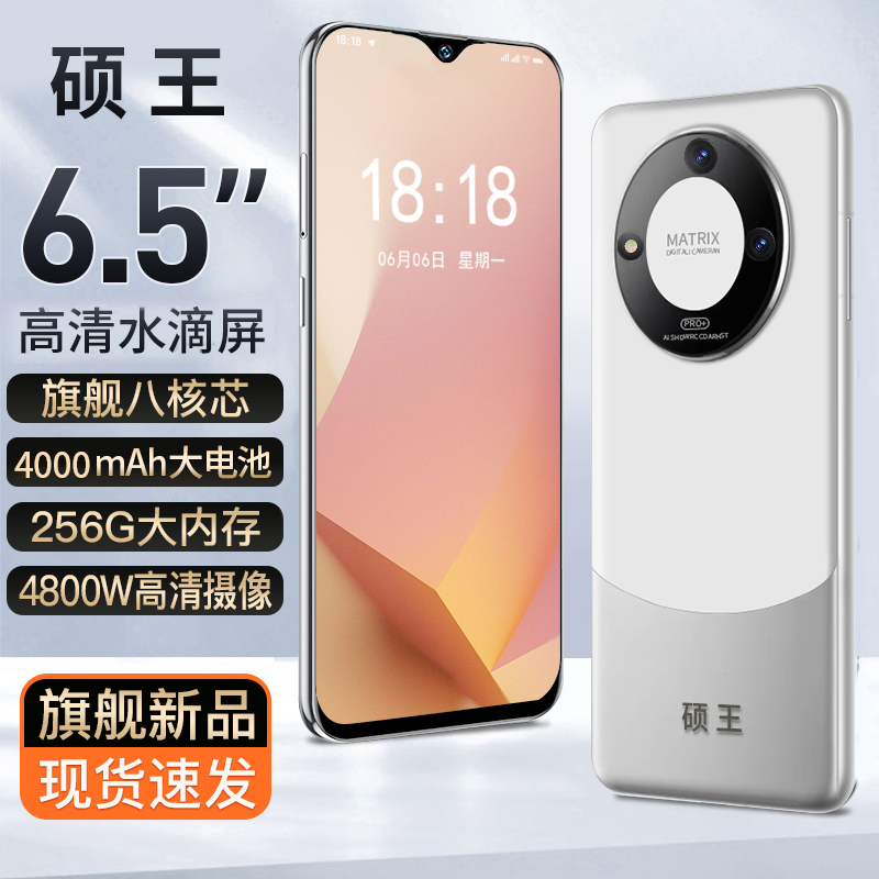 【官方正品】256G全新未拆封高端轻奢全网通双卡双待