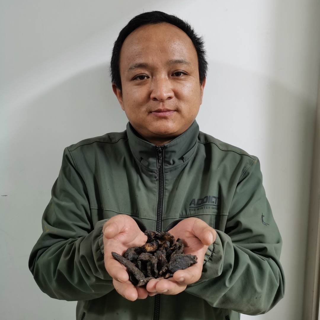 生地黄 河南生地黄 怀地黄 种植的 生地片 黄娘子根