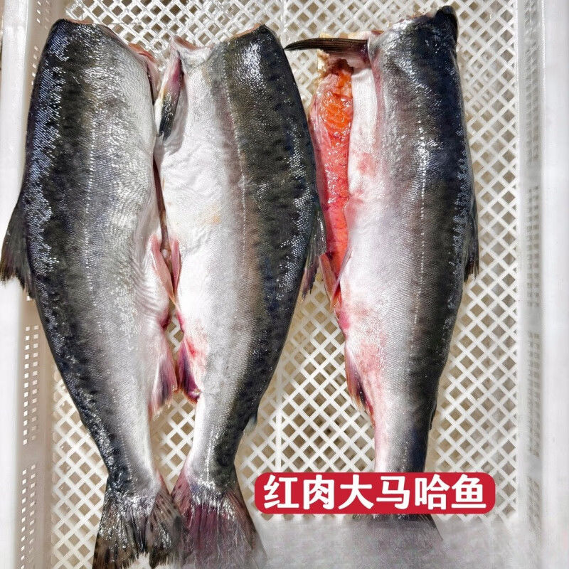4.3斤3条大马哈鱼俄罗斯特产洄游新鲜速冻轮切鱼段鱼块淡水鱼