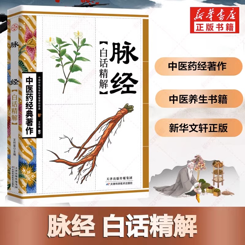 脉经白话精解正版中医药著作中华经络穴位治病根基中医参考书籍