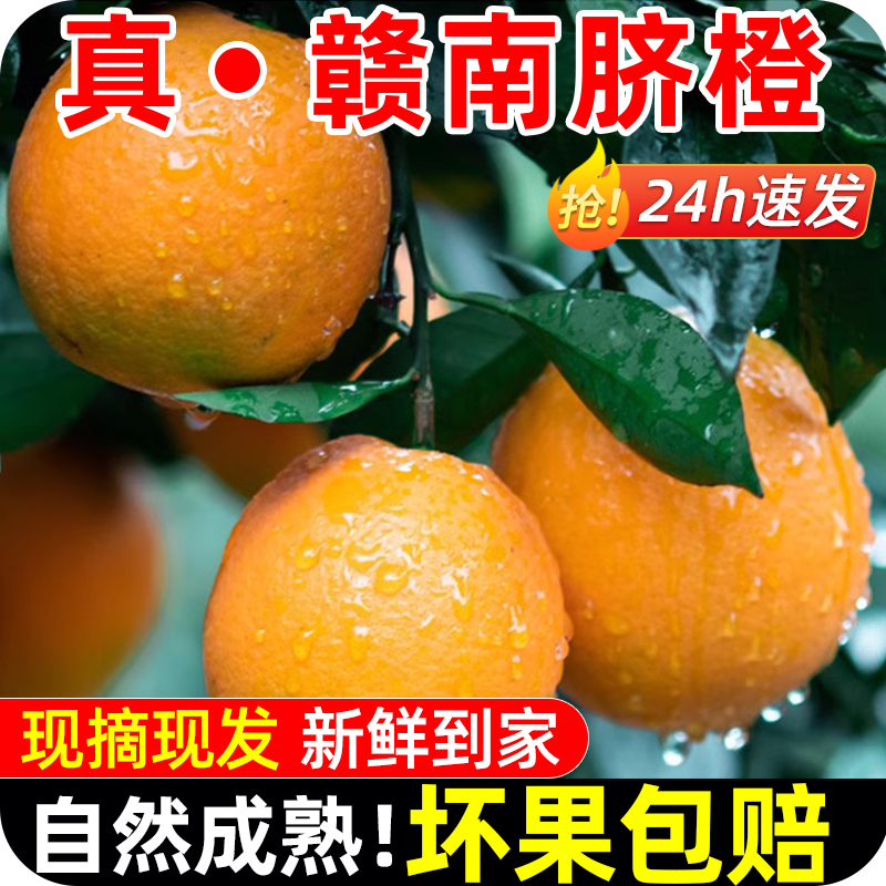 江西赣南脐橙5斤应季新鲜水果现摘现卖香甜细腻爆汁赣南脐橙s皮薄