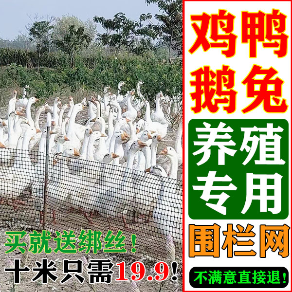 加厚防护养鸡养鸭网栅栏菜园鲜花爬架网池塘防护方格网养殖网菜园