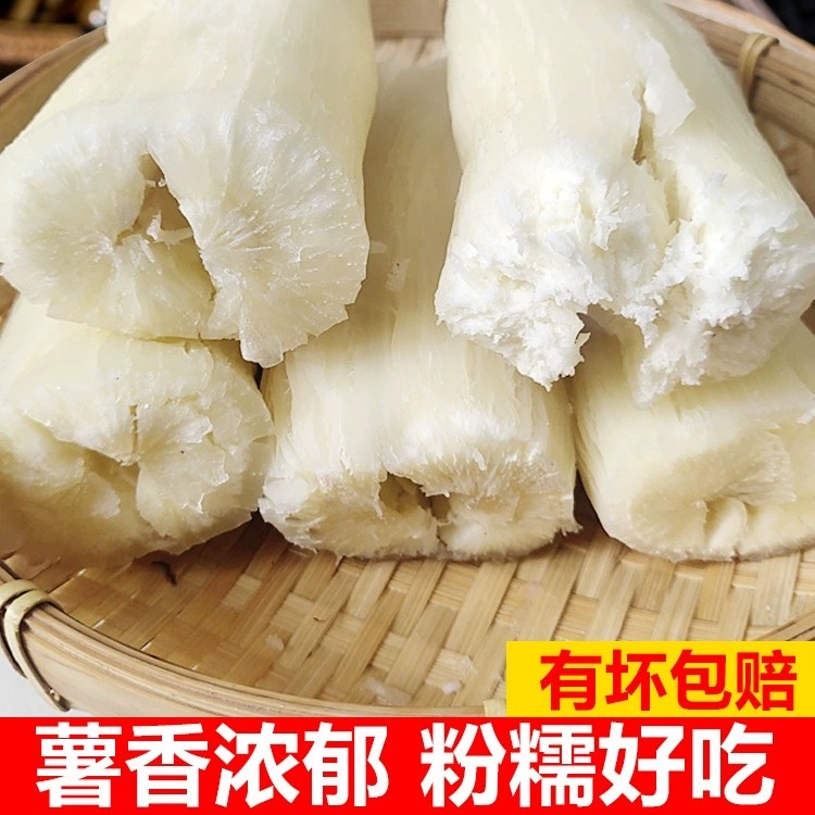 面包木薯广西特产新鲜现挖白肉软糯香甜木薯糖水木薯羹可蒸煮番薯