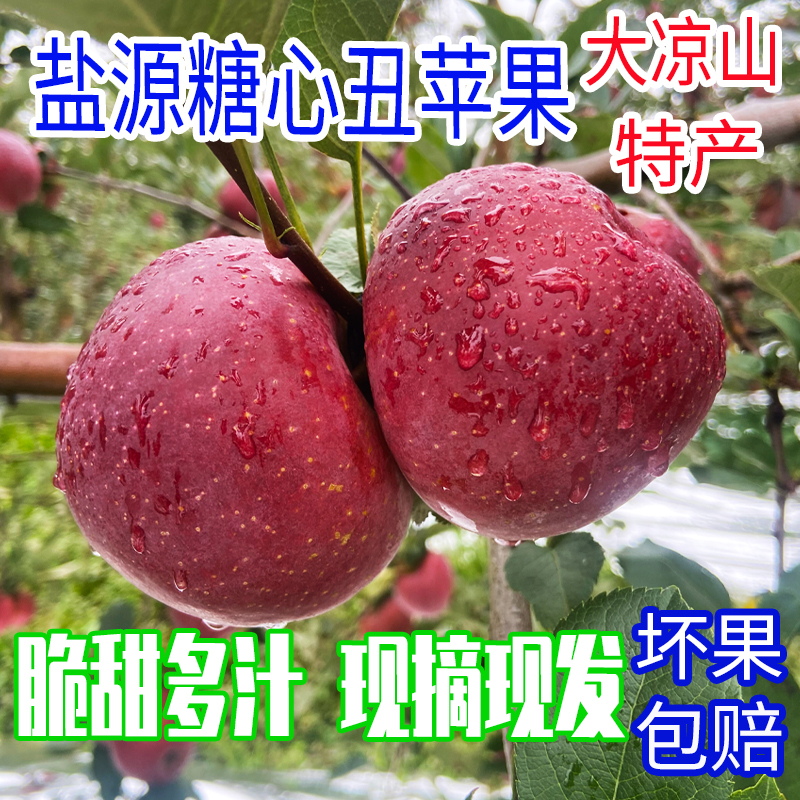 大凉山丑苹果冰糖心高原生态新鲜水果脆甜包邮45.-8斤