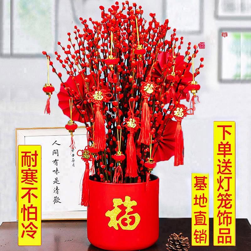 银柳真花鲜枝年宵花卉福桶红色银柳干花花束室内客厅装饰盆栽植物