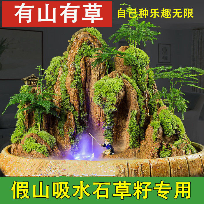 上水石吸水石假山草种籽盆景绿化四季景观盆栽草种子植物珍珠庭院