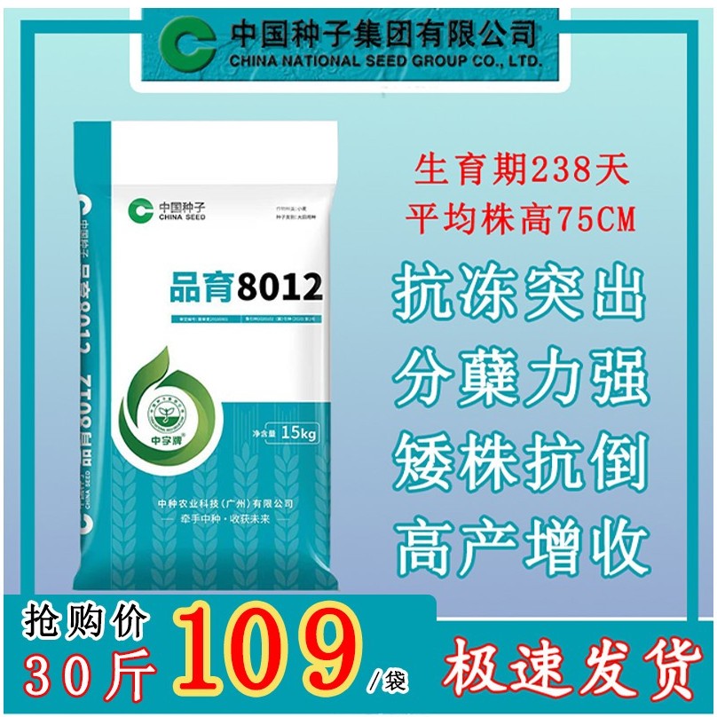 【中国种子】30斤装优质麦种品育8012优质高产种植品种