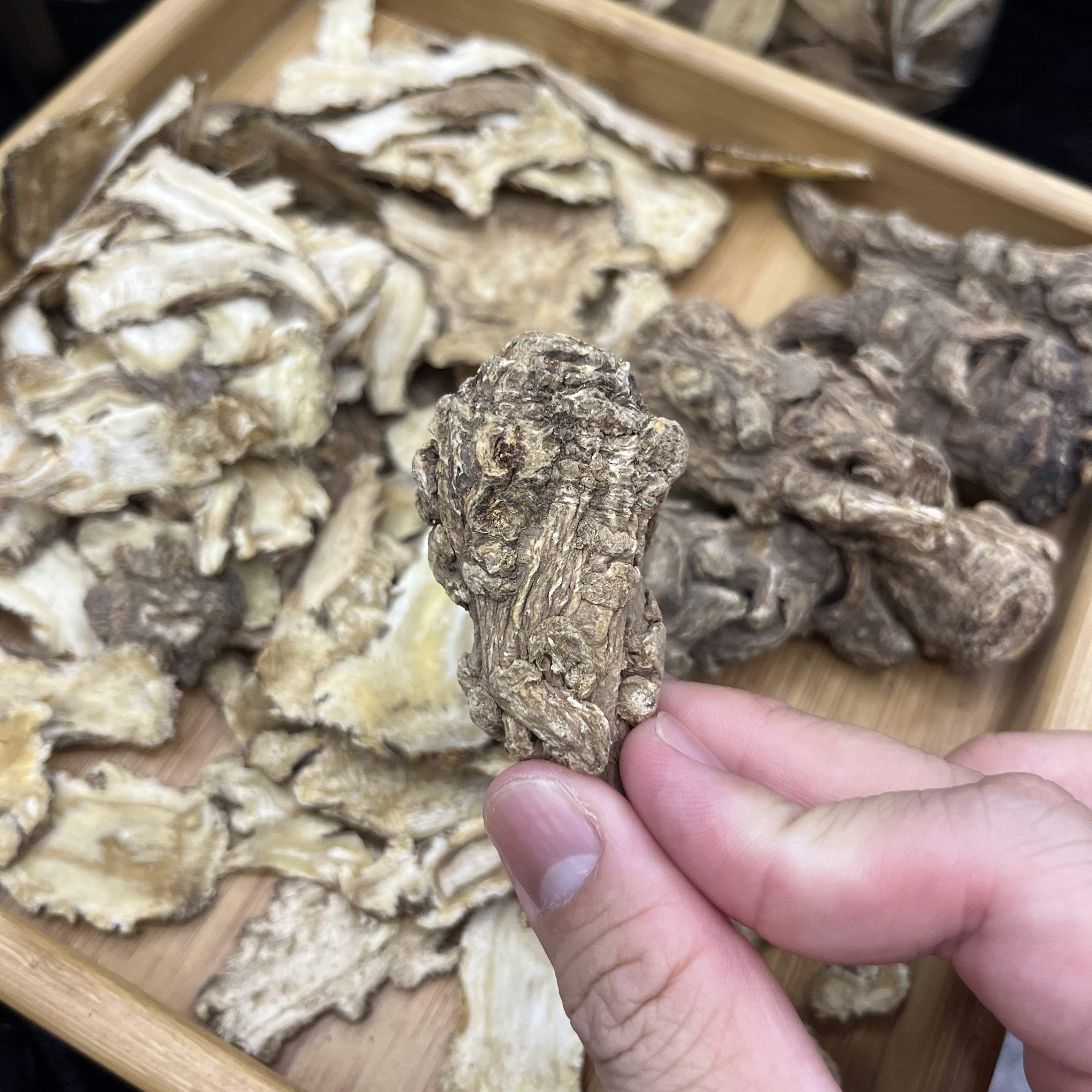 (直播）优选正宗当归参炖汤煲汤