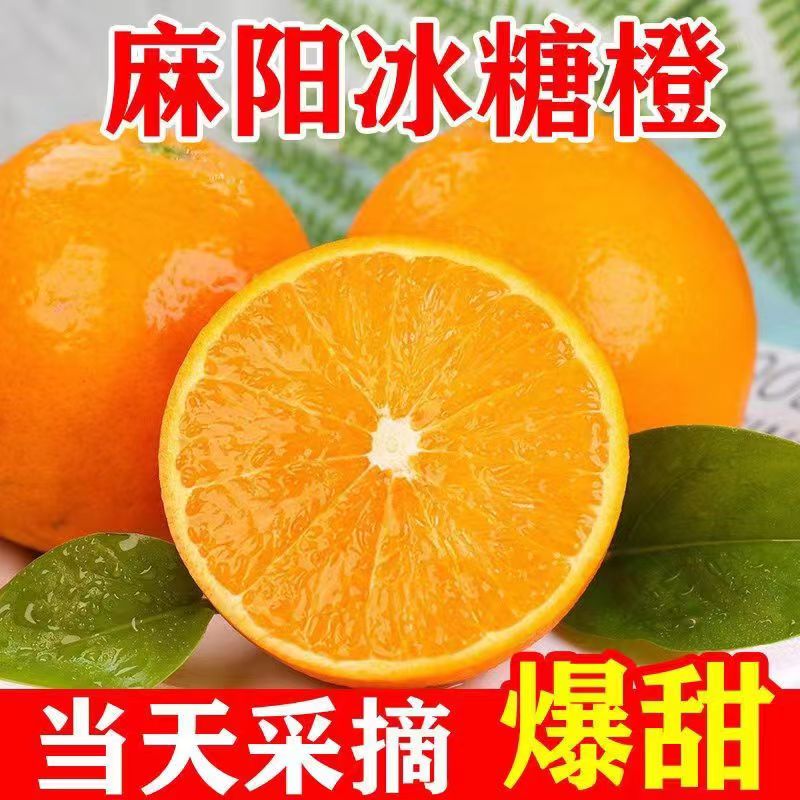【正宗麻阳冰糖橙】麻阳冰糖橙当季超甜橙子包邮批发新鲜水果