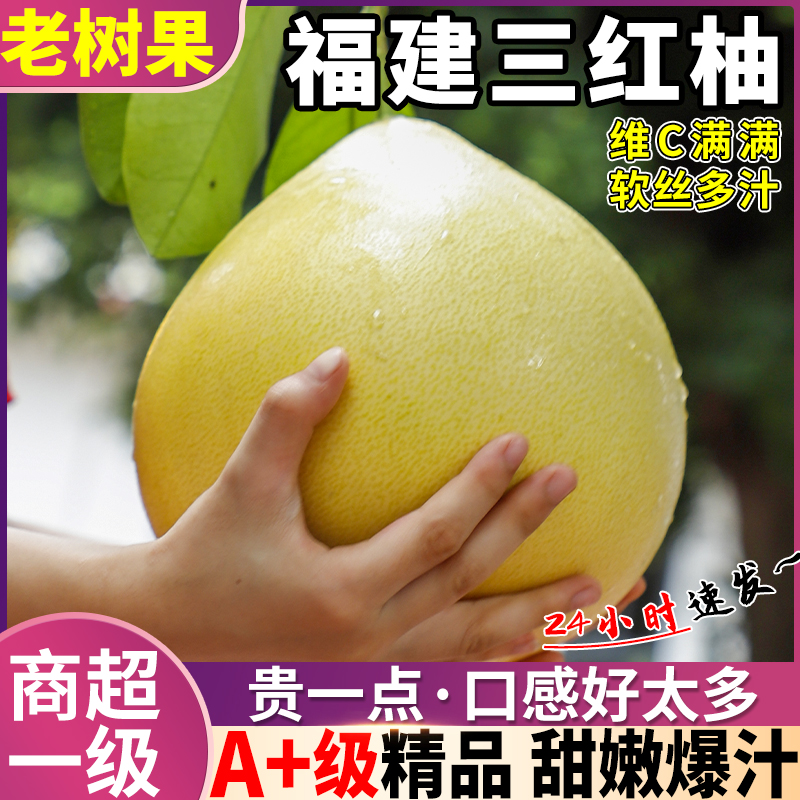福建红心柚子当季正宗平和蜜柚红心柚水果红心蜜柚整箱礼盒大果