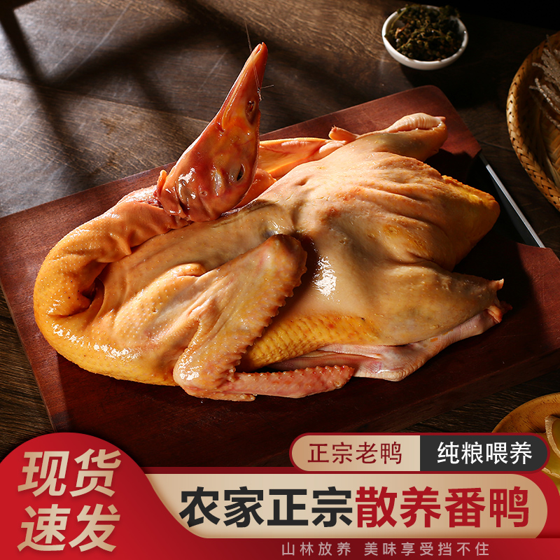 【甄选美味】红头番鸭 净重4-4.5斤  安徽发货 包邮