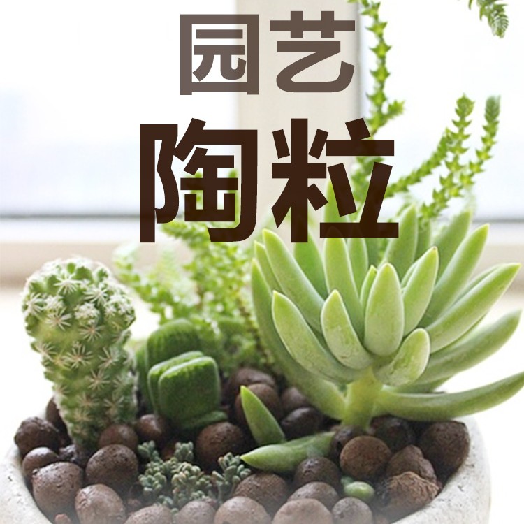 老花农陶粒 园艺陶粒 透气 保水园艺用品回填陶粒