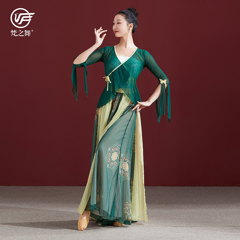 古典民族舞蹈练功表演出服装女飘逸开衫纱衣上衣印花飘带大摆裙子