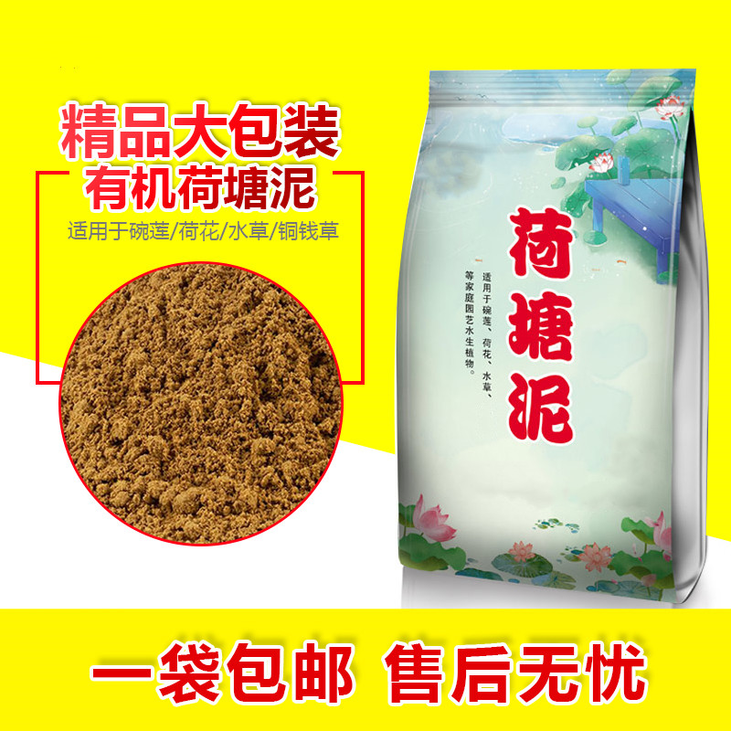 荷塘泥睡莲碗莲铜钱草专用土养龟不浑水荷花正宗纯种花土河泥水培